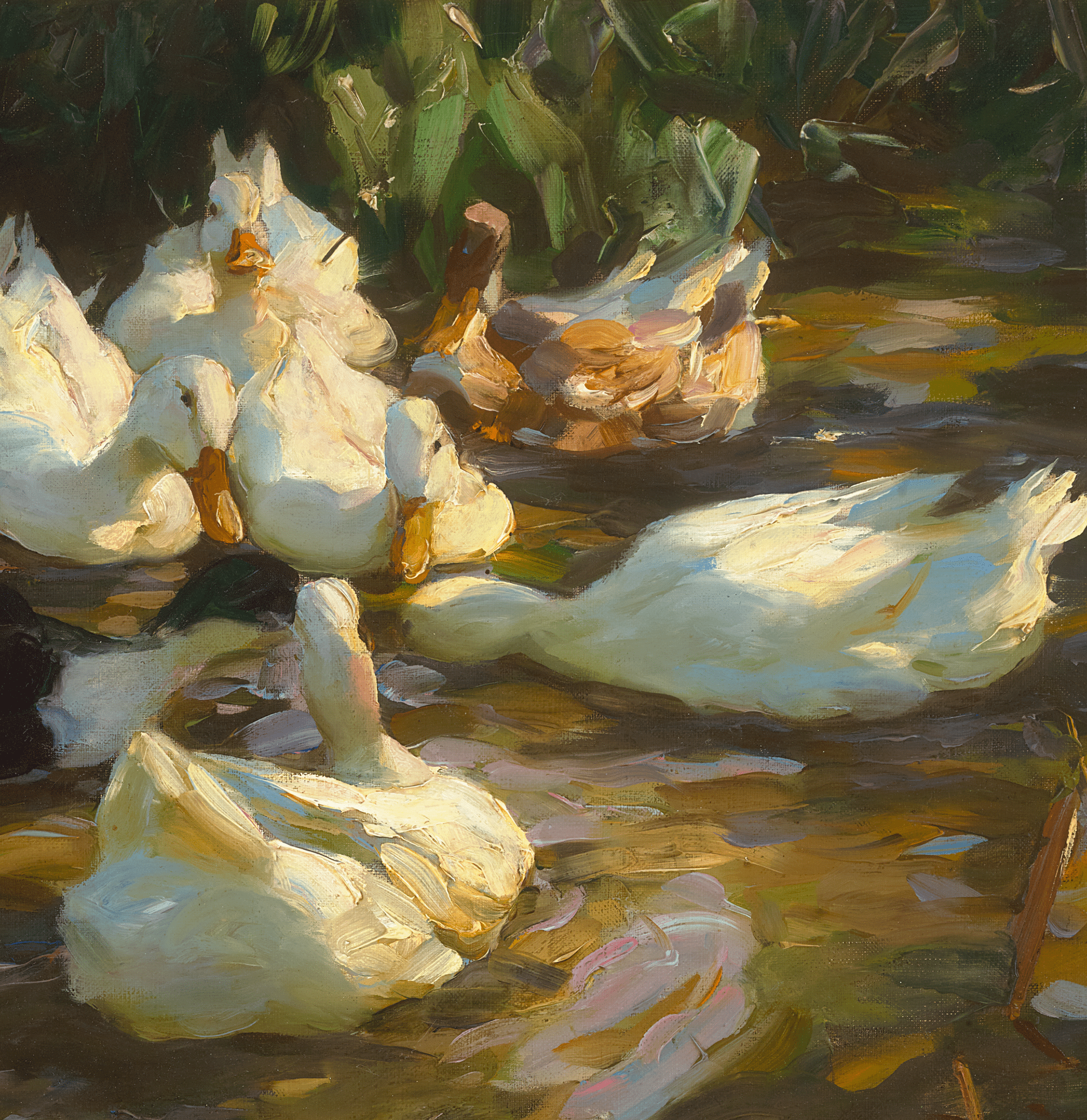 Ducks in a Pond by Alexander Koester