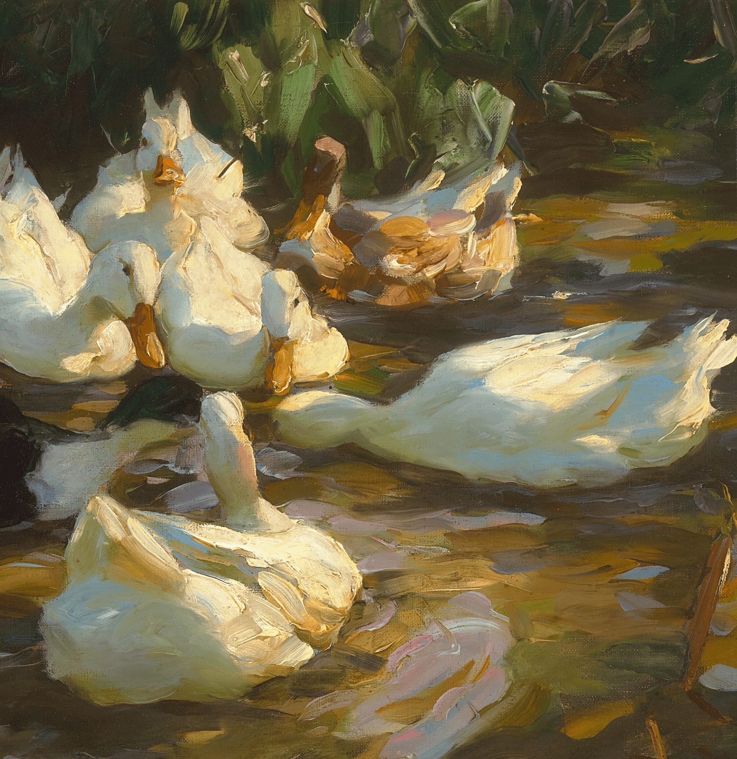 Ducks in a Pond by Alexander Koester