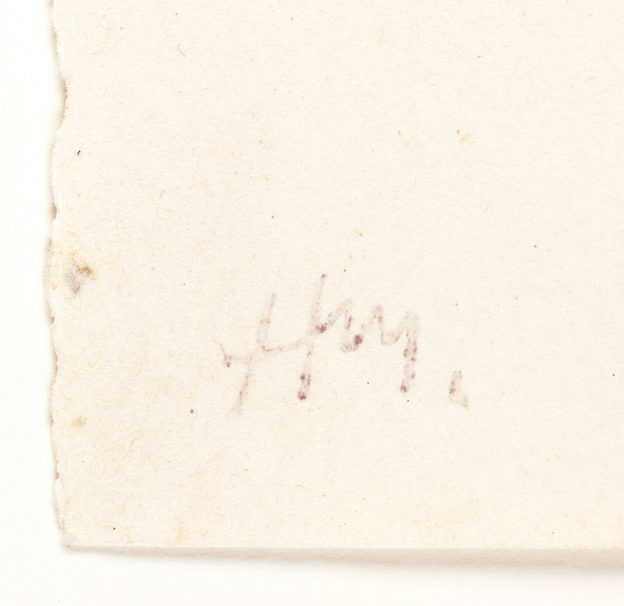 Nude with Shadow by Henri Matisse