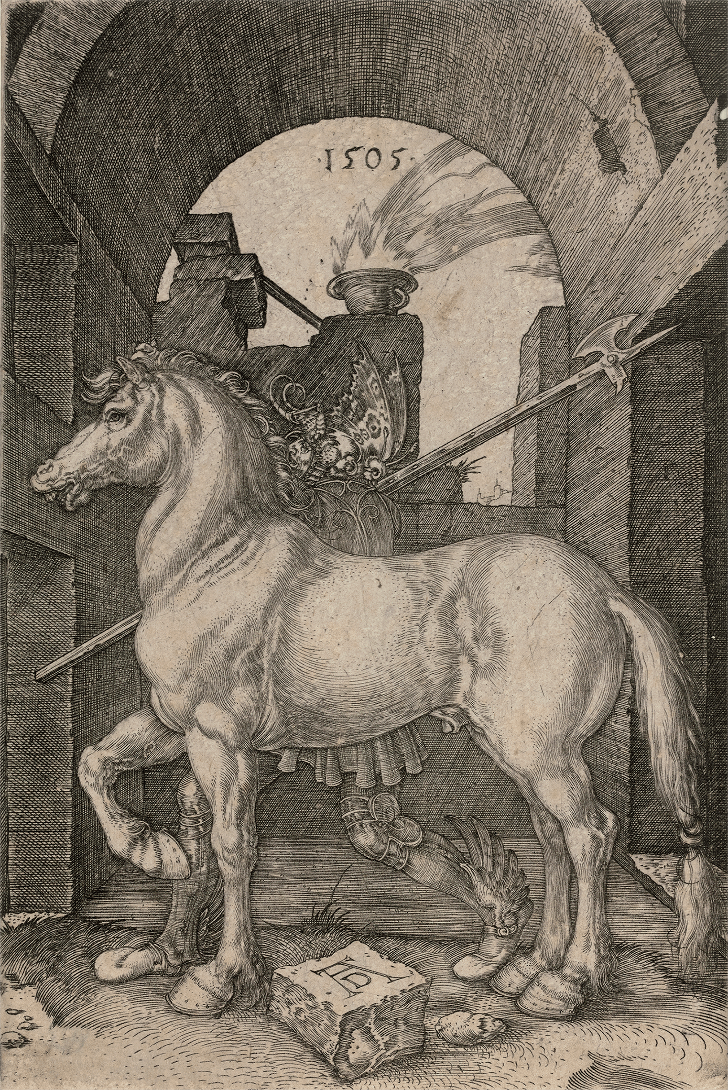 The Small Horse by Albrecht Dürer