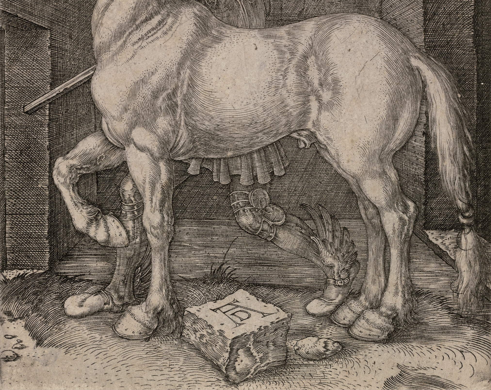 The Small Horse by Albrecht Dürer