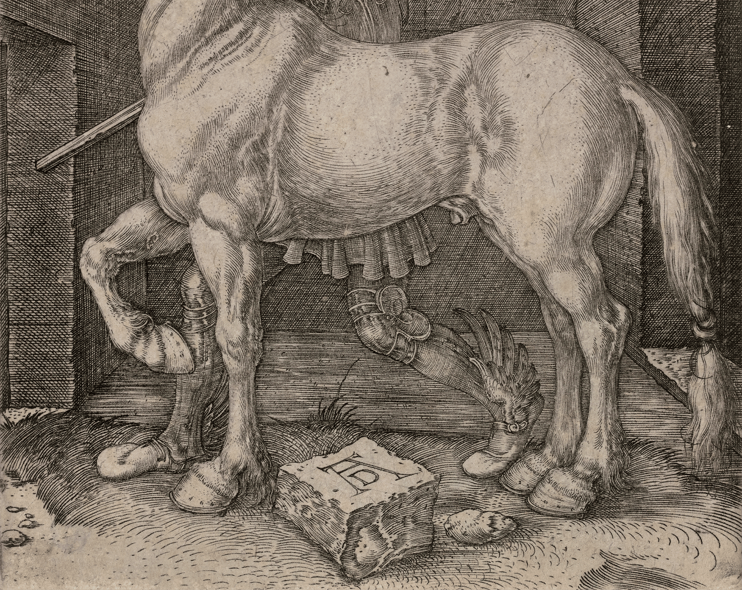 The Small Horse by Albrecht Dürer