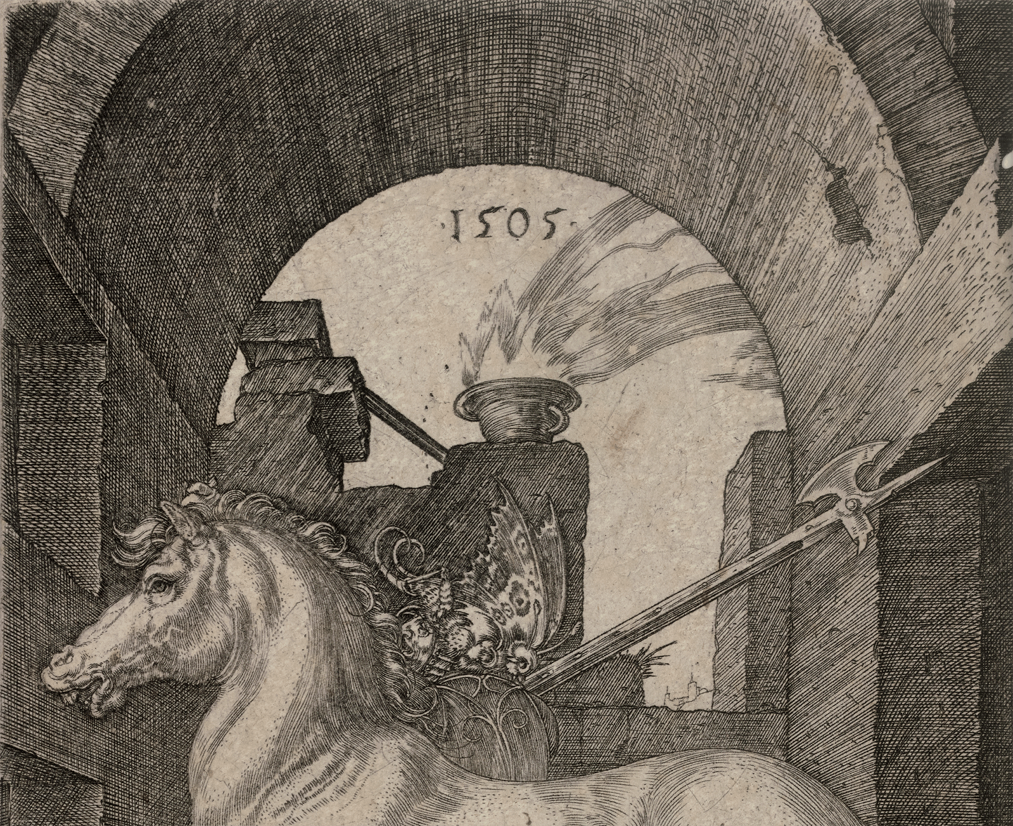 The Small Horse by Albrecht Dürer