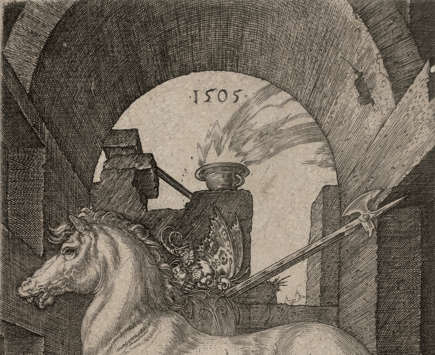 The Small Horse by Albrecht Dürer