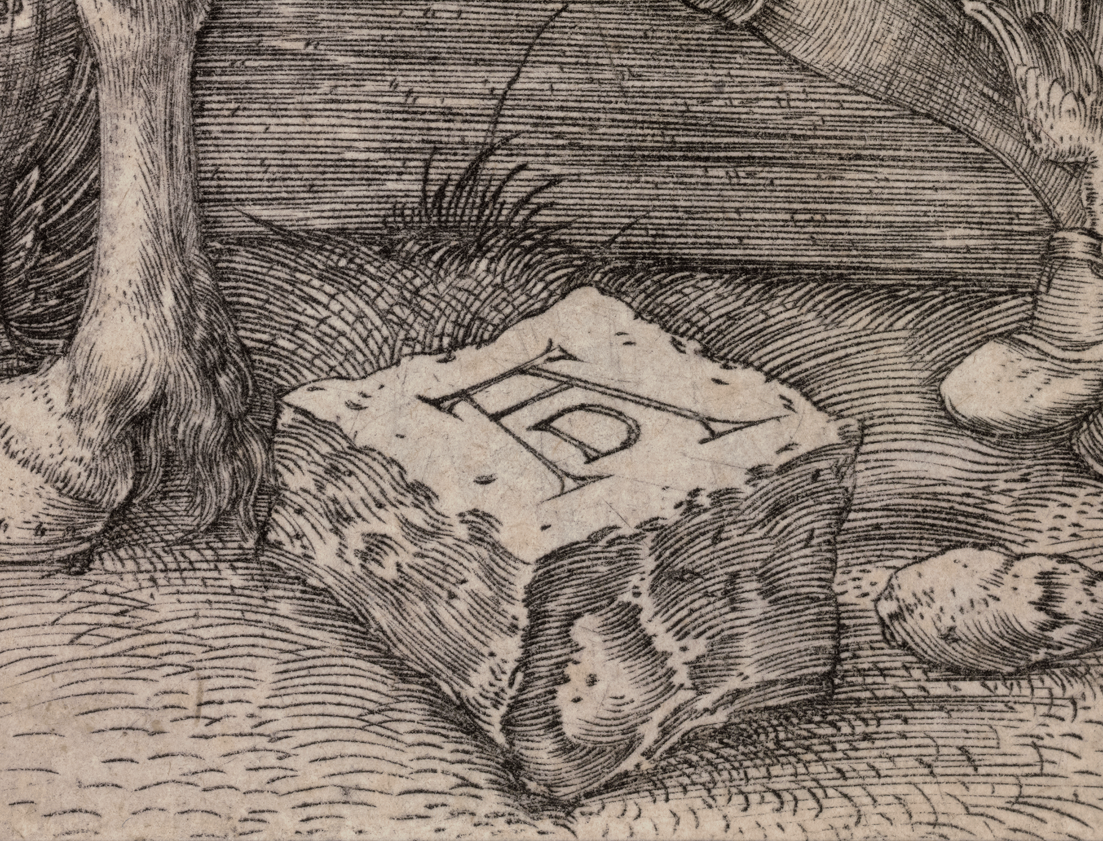 The Small Horse by Albrecht Dürer