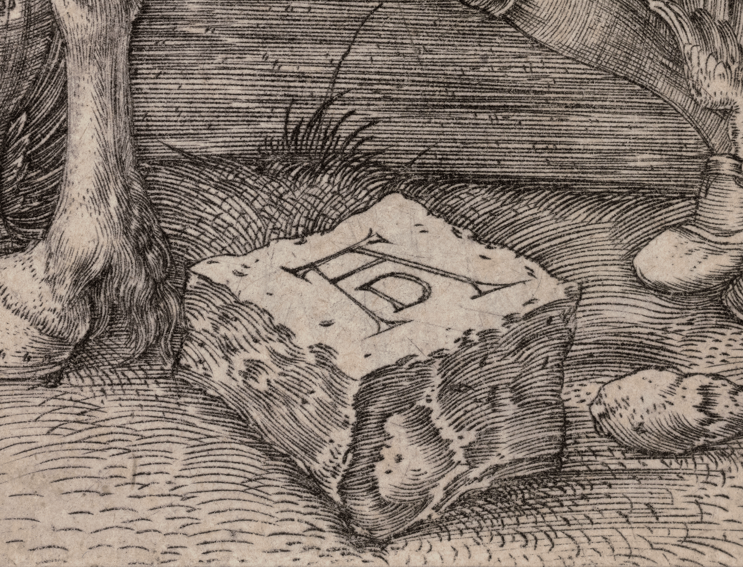 The Small Horse by Albrecht Dürer