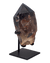 Smoky Quartz Specimen