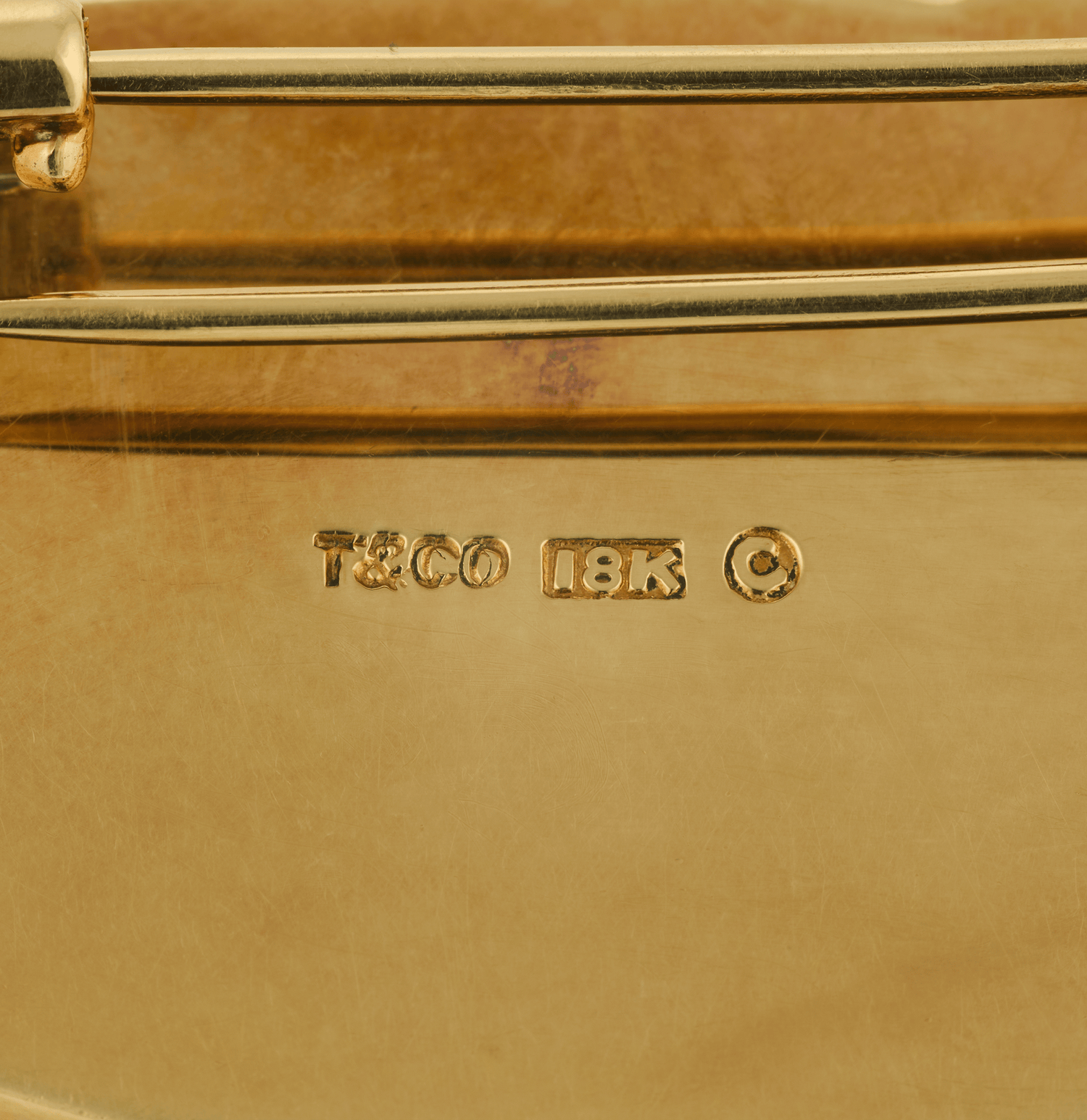 Tiffany & Co. Toucan Brooch