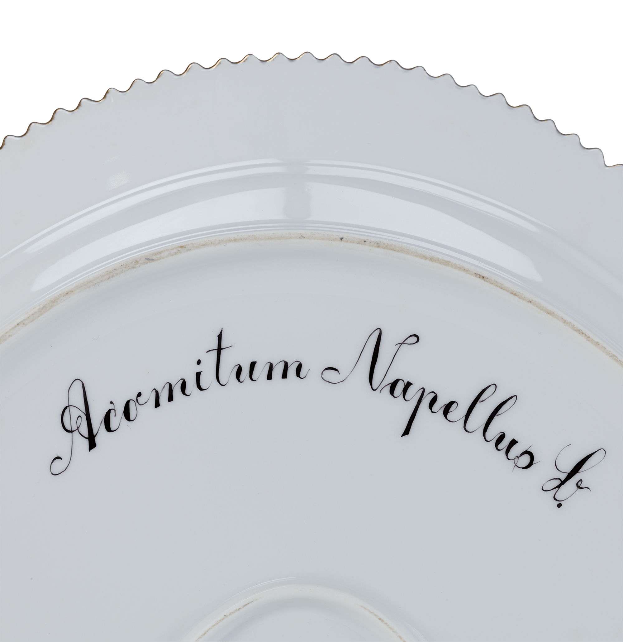 Flora Danica Porcelain Dinner Service by Royal Copenhagen, 119 Pieces