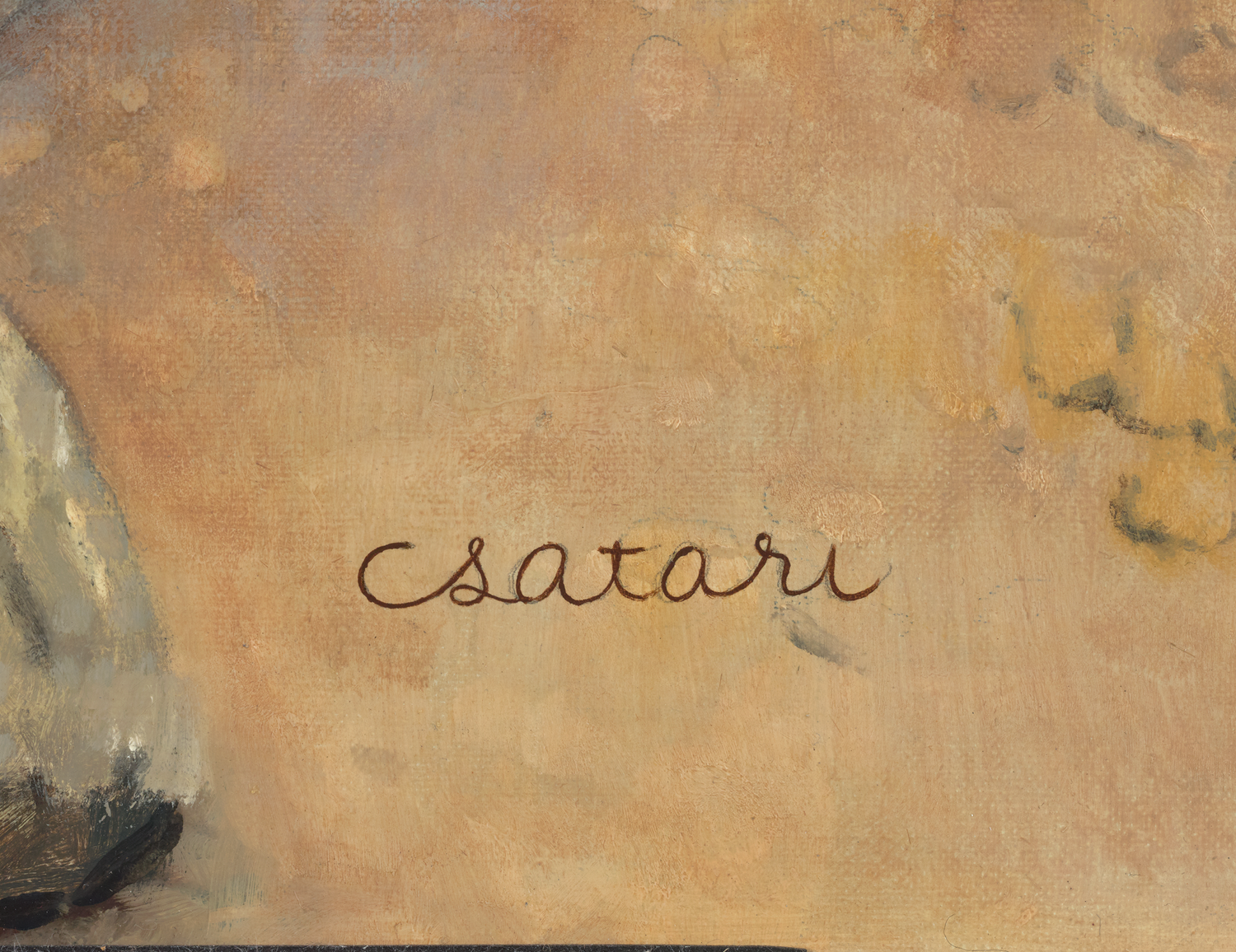 It's a Boy's Life by Joseph Csatari