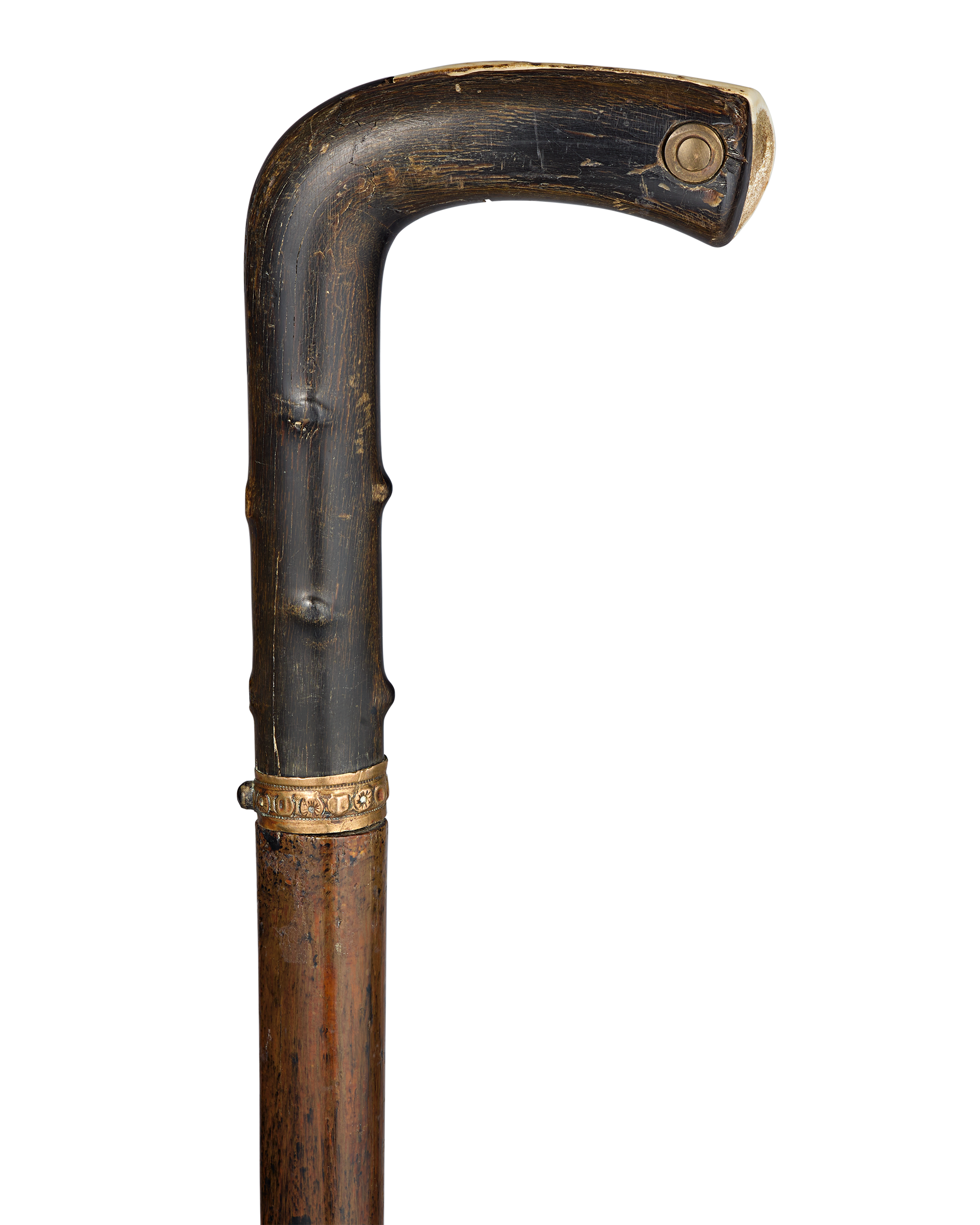 Buffalo Horn and Antler Sword Cane