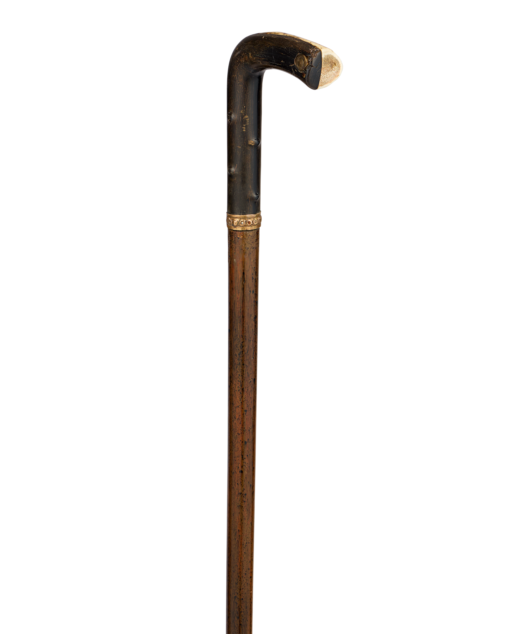 Buffalo Horn and Antler Sword Cane