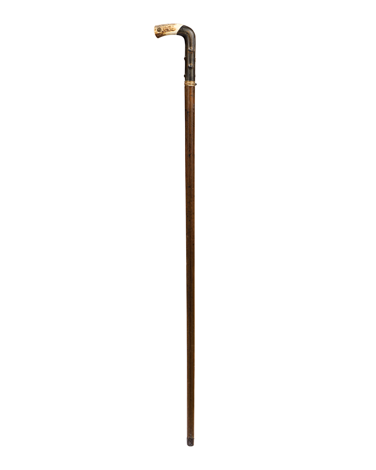 Buffalo Horn and Antler Sword Cane