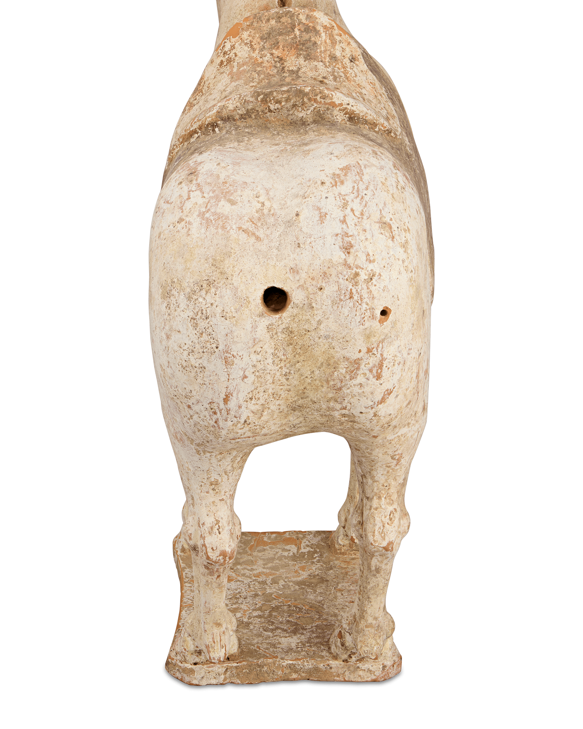 Tang Dynasty Earthenware Horse