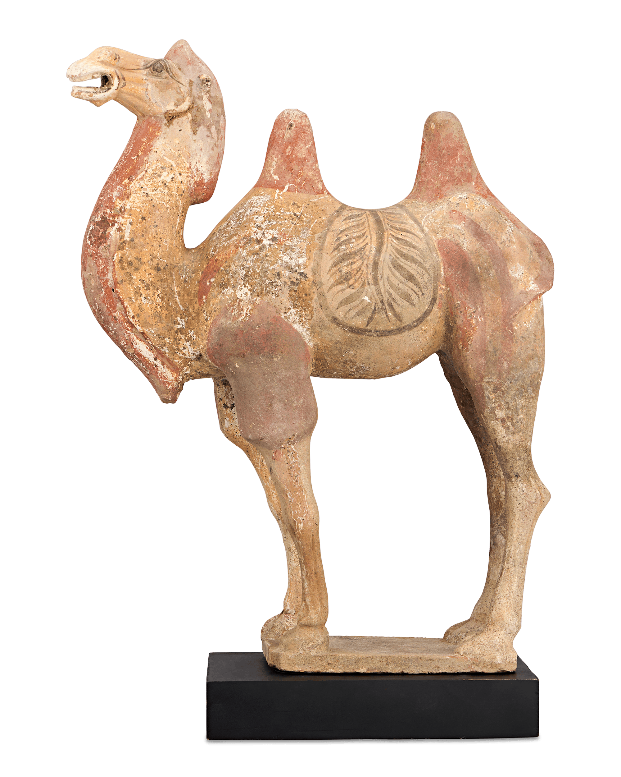 Tang Dynasty Terracotta Camel