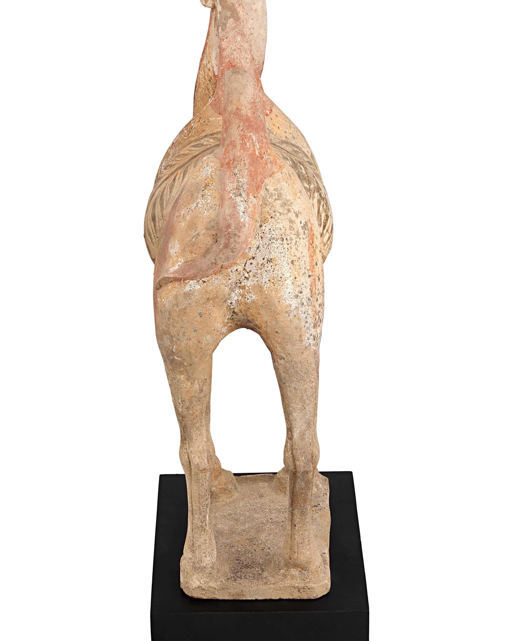 Tang Dynasty Terracotta Camel