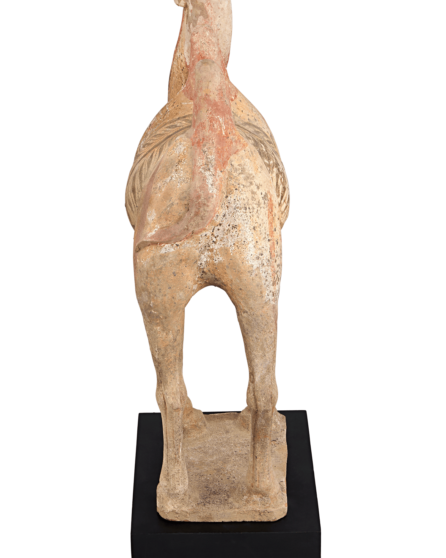 Tang Dynasty Terracotta Camel