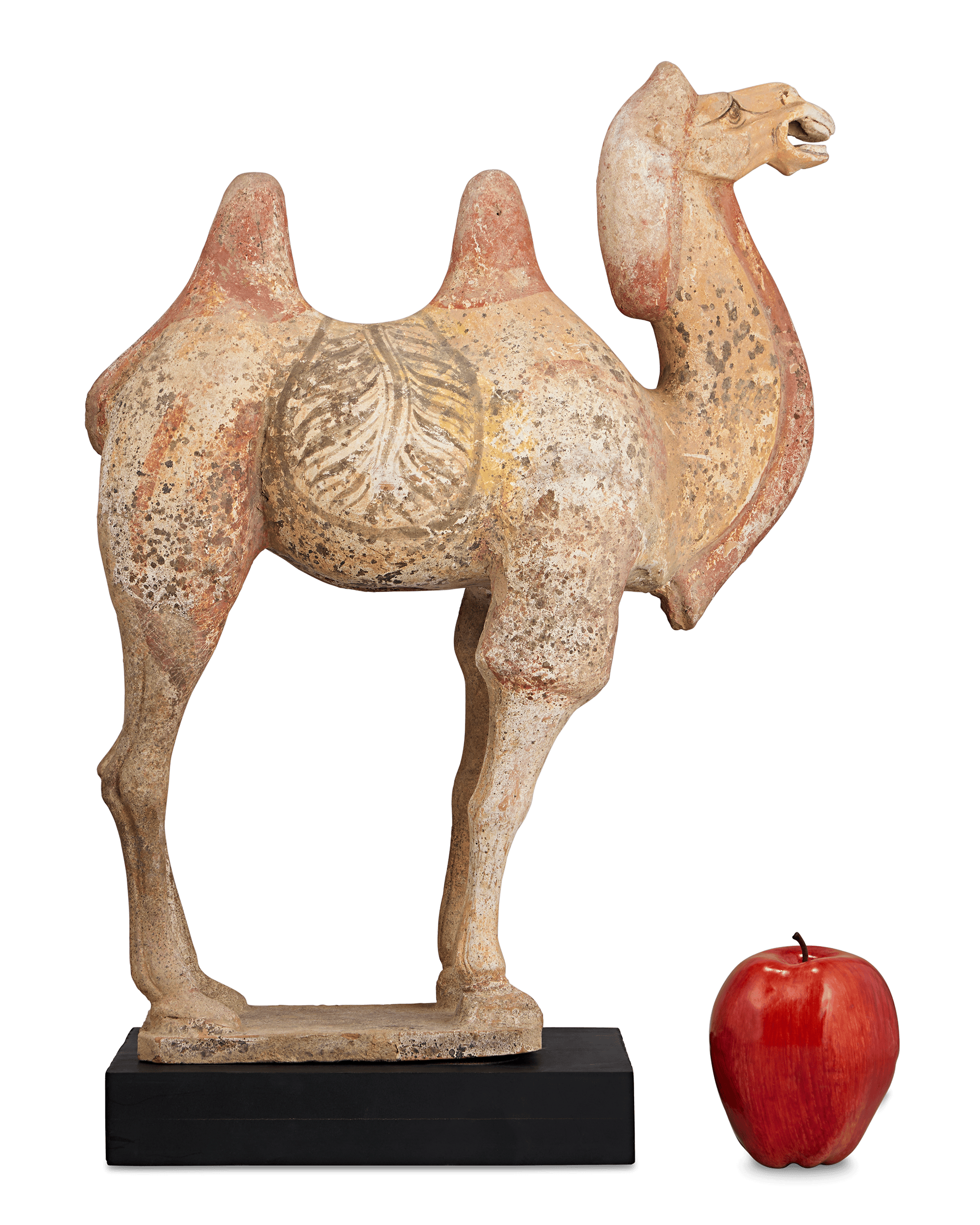 Tang Dynasty Terracotta Camel