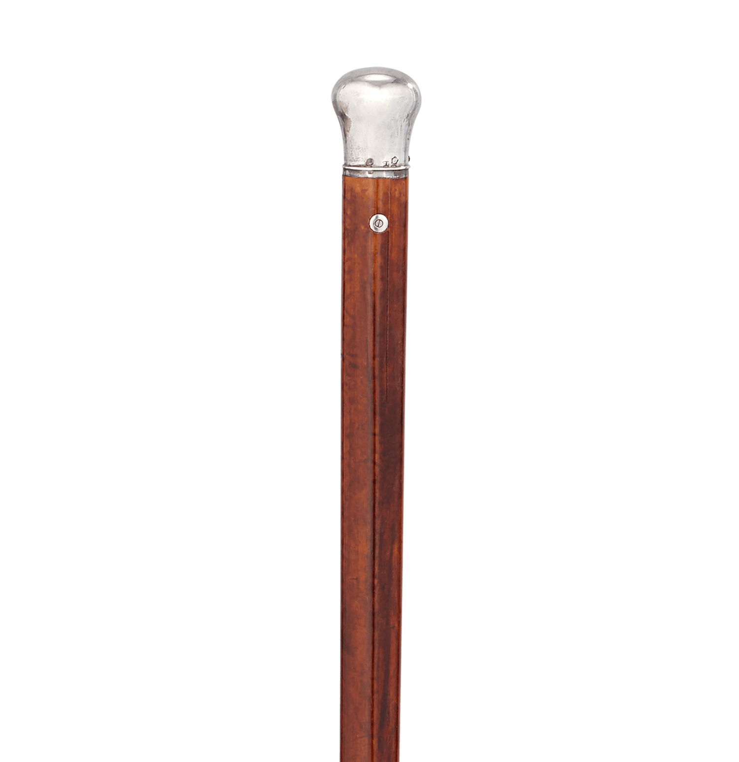 Holuska Watch Cane
