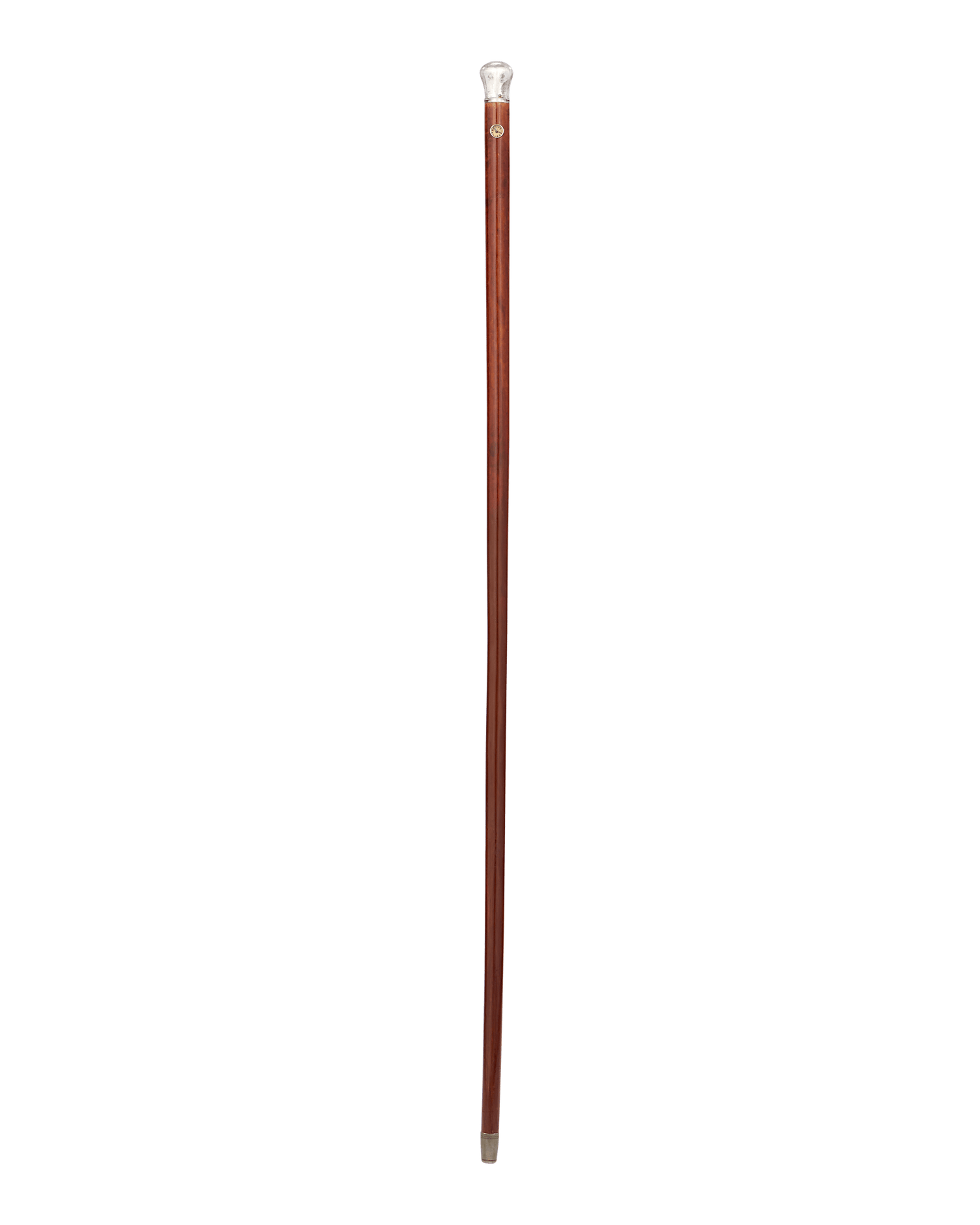 Holuska Watch Cane