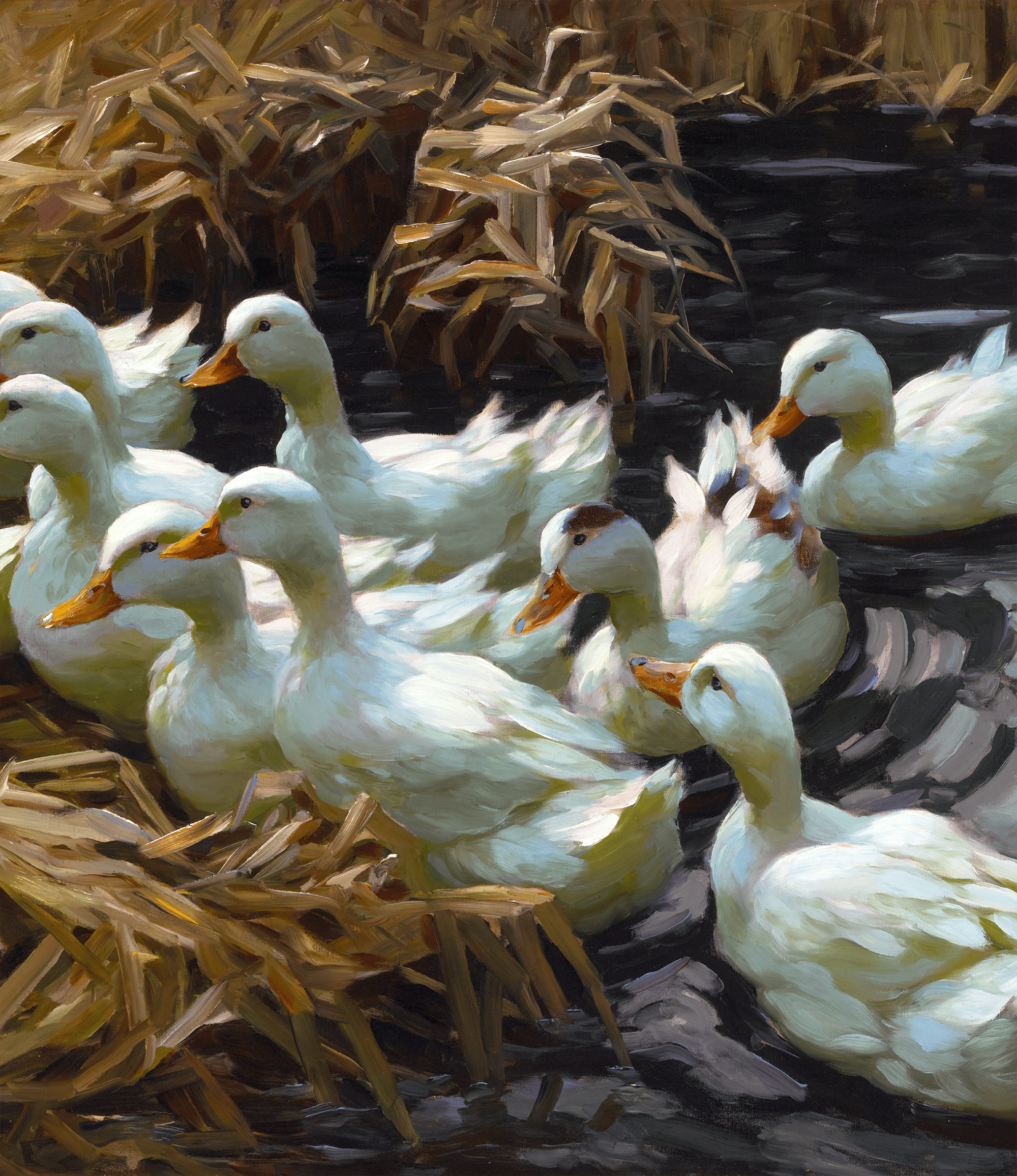 Twelve Ducks in the Reeds by Alexander Koester