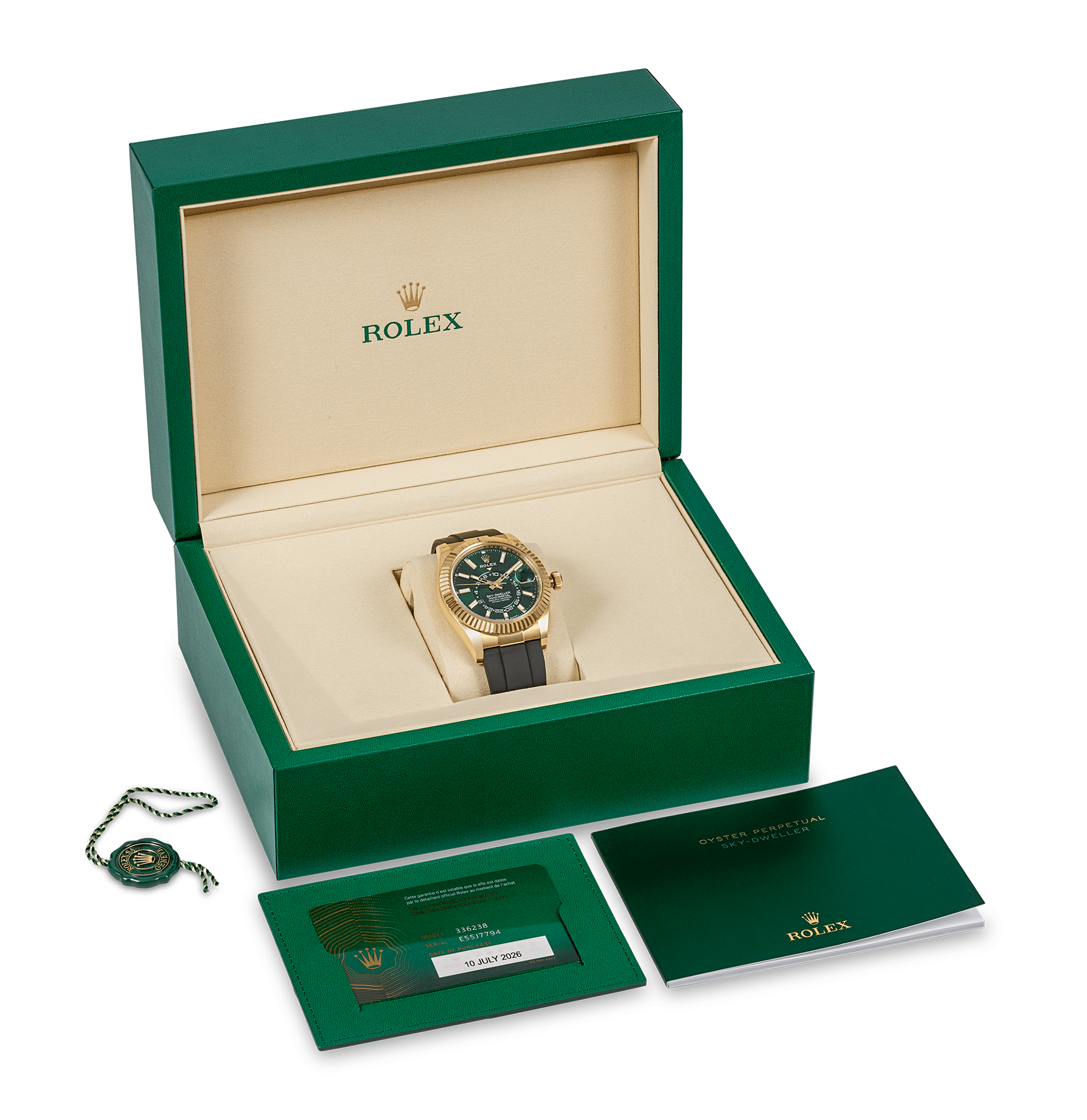 Rolex Oyster Perpetual Sky-Dweller Watch