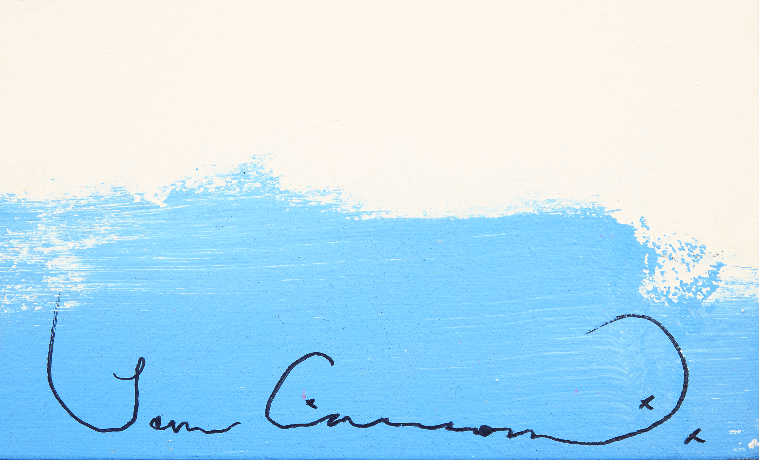 Humming Bird Fly by Louis Carreon