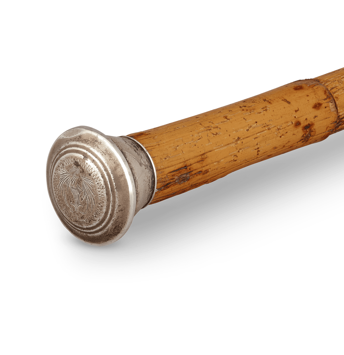 Victorian Sword Cane