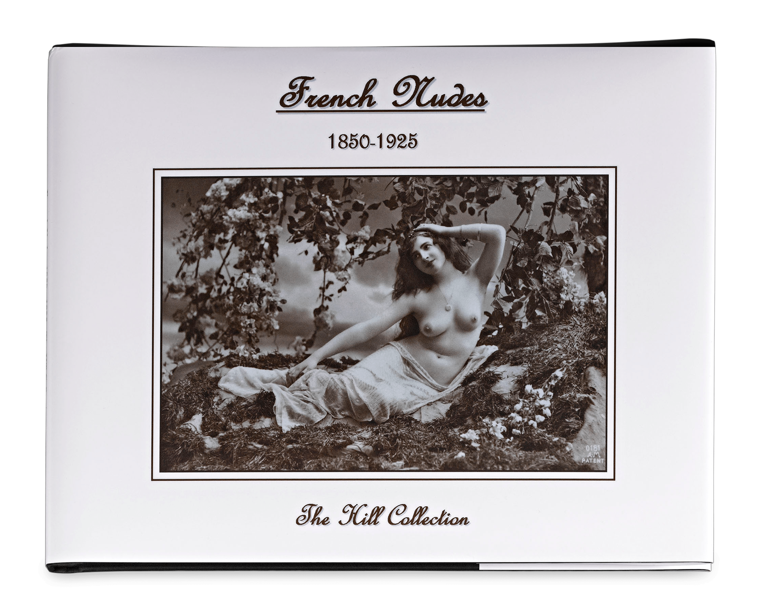 A limited edition book written about the collection, French Nudes: 1850-1925, is included
