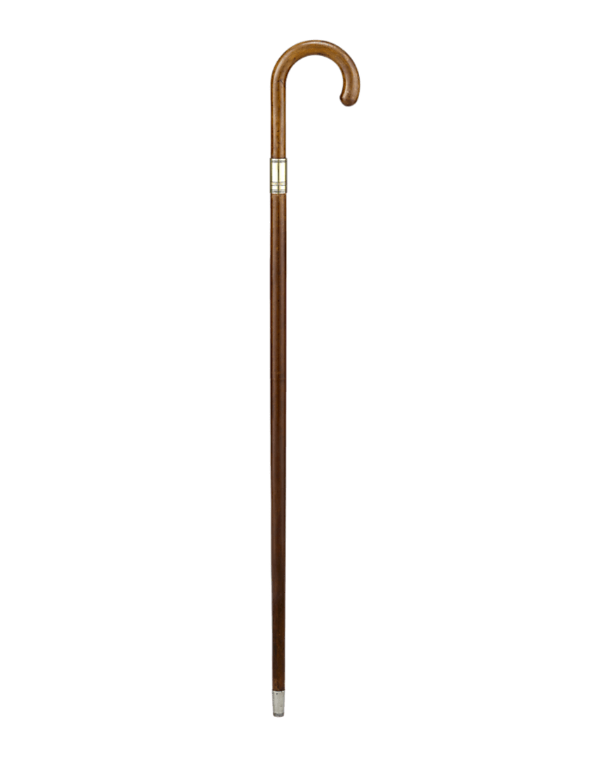 Lighter System Cane
